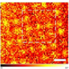 Progress made in the research of super-resolution microscopy