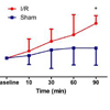 LOSOM technique invented by Dr. Peng Xi’s research team applied on microcirculation study