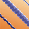 Super-Stretchable Carbon Nanotube Ropes