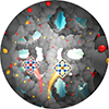 Prof. Ruqiang Zou's group achieves great success in the fabrication of large carbon networks with hierarchical porosity and atomically dispersed metal sites